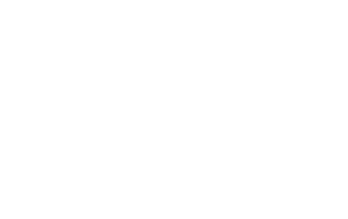 Lekovic Industrie
