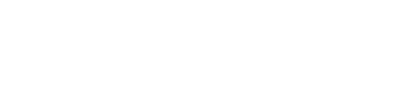 SPP PAI